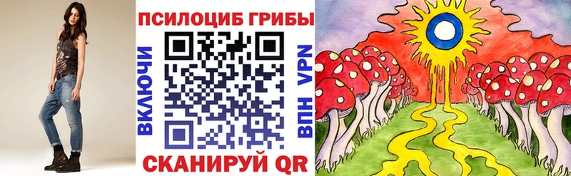 где купить наркоту  Курчатов  Псилоцибиновые грибы MAGIC MUSHROOMS 